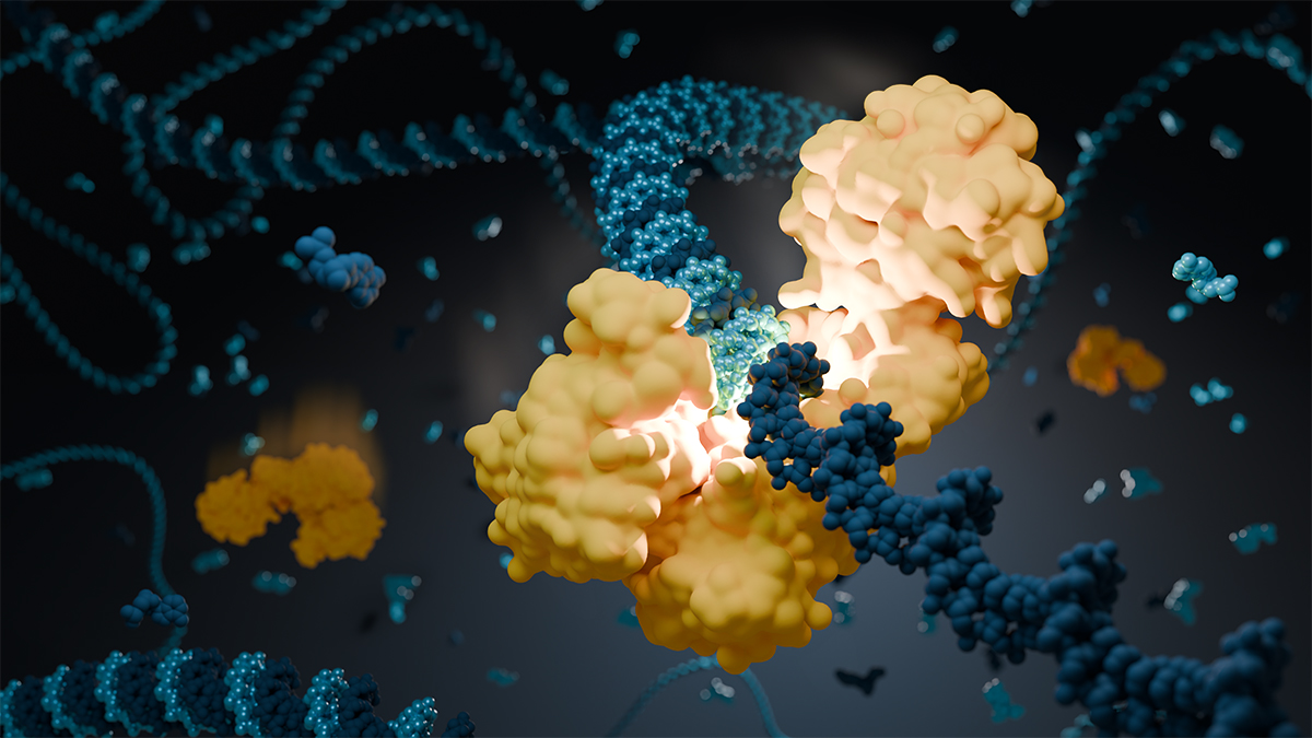 Mapping fast DNA polymerase exchange during replication